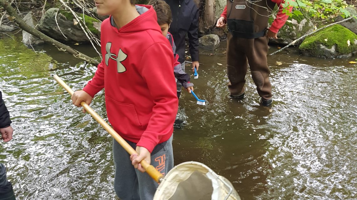 J’adopte un cours d’eau à l’école de Roxton Pond